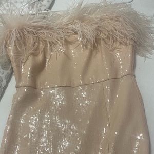 Amanda up Richard light pink feathers dress